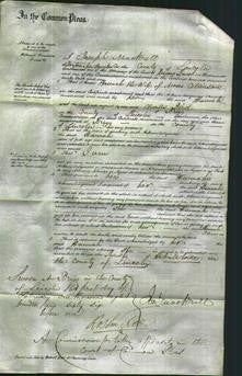 Court of Common Pleas - Hannah Collinson-Original Ancestry