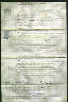 Court of Common Pleas - Eliza Lewins-Original Ancestry