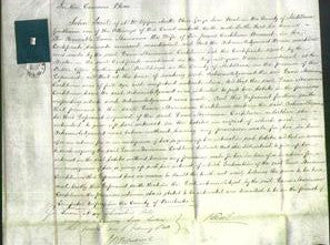 Court of Common Pleas - Honorable Dame Marianna Cockburn-Original Ancestry