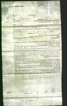 Court of Common Pleas - Mary Hands-Original Ancestry