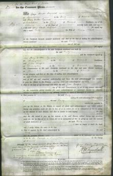 Court of Common Pleas - Emily Tibbatts-Original Ancestry