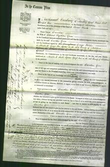 Court of Common Pleas - Caroline Green-Original Ancestry