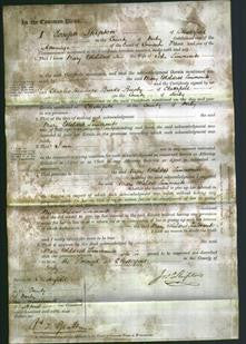 Court of Common Pleas - Mary Etheldred Simmonite-Original Ancestry