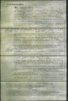 Court of Common Pleas - Betsy Partridge and Lucy Fieldhouse-Original Ancestry