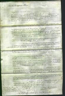 Court of Common Pleas - Mary Ann Fosbroke-Original Ancestry