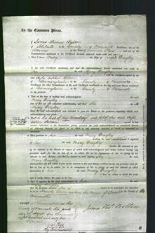 Court of Common Pleas - Mary Dingley-Original Ancestry