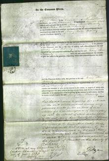 Court of Common Pleas - Mary Ann Powerly-Original Ancestry