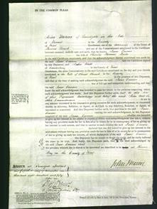 Court of Common Pleas - Jane Emma Seake-Original Ancestry