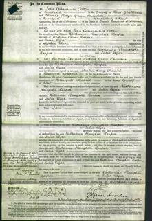 Court of Common Pleas - Katharine Slaughter Harper and Julia Elgar-Original Ancestry