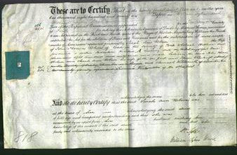 Deed by Married Women - Sarah Ann Robson-Original Ancestry