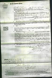 Court of Common Pleas - Jane Burrell-Original Ancestry