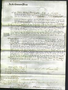 Court of Common Pleas - Lettice Harrison and Ann Wilson-Original Ancestry
