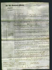 Court of Common Pleas - Anna Valpy-Original Ancestry