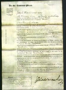 Court of Common Pleas - Maria Louisa Leadbeatter-Original Ancestry