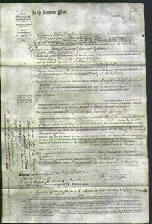 Court of Common Pleas - Mary Randolph Jacomb Gibbon-Original Ancestry