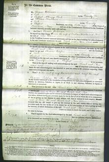 Court of Common Pleas - Sarah Buxton and Ann Downes-Original Ancestry