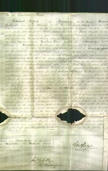 Court of Common Pleas - Anna Maria Boydell-Original Ancestry