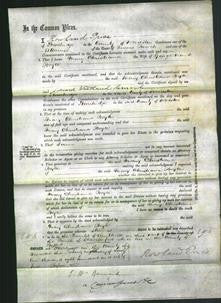 Court of Common Pleas - Mary Christiana Boyle-Original Ancestry