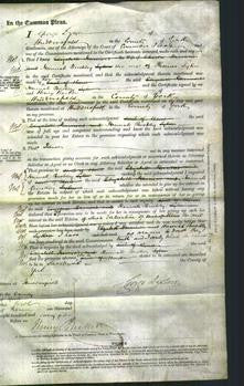 Court of Common Pleas - Hannah Buckley Sykes-Original Ancestry