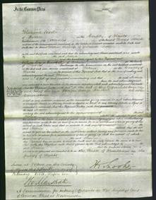 Court of Common Pleas - Maria Bone-Original Ancestry