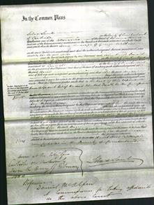 Court of Common Pleas - Ann Wilkin-Original Ancestry