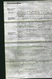 Court of Common Pleas - Jane Barrett-Original Ancestry