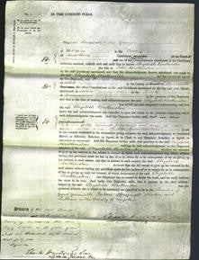 Court of Common Pleas - Elizabeth Brotherston-Original Ancestry