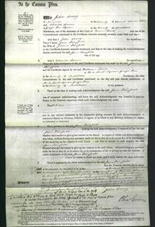 Court of Common Pleas - Jane Fairfield-Original Ancestry