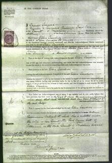 Court of Common Pleas - Ellen Crewdson-Original Ancestry