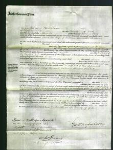 Court of Common Pleas - Sarah Parkinson-Original Ancestry