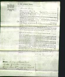 Court of Common Pleas - Eliza Frances Dudgeon-Original Ancestry