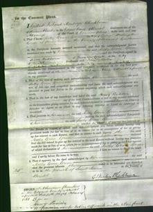 Court of Common Pleas - Sally Grace Green-Original Ancestry