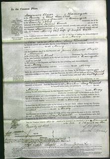 Court of Common Pleas - Mercy Cribb-Original Ancestry