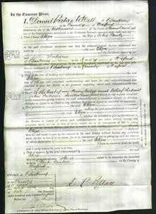 Court of Common Pleas - Eliza Neale-Original Ancestry