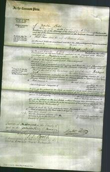 Court of Common Pleas - Ann Senior-Original Ancestry