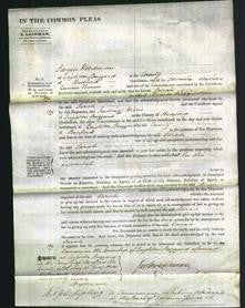 Court of Common Pleas - Sarah Hickinbottom-Original Ancestry
