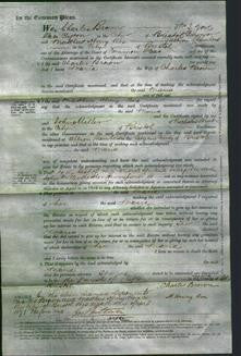 Court of Common Pleas - Maria Brown-Original Ancestry