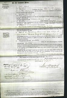 Court of Common Pleas - Mahala Baines-Original Ancestry