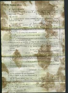 Court of Common Pleas - Sarah Seschwin-Original Ancestry