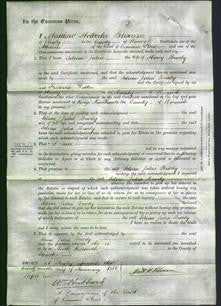 Court of Common Pleas - Selina Julia Brierley-Original Ancestry