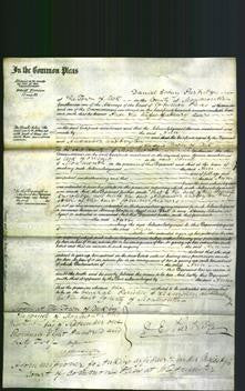 Court of Common Pleas - Ann Lewis-Original Ancestry