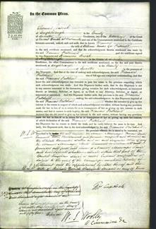 Court of Common Pleas - Frances Pritchard-Original Ancestry