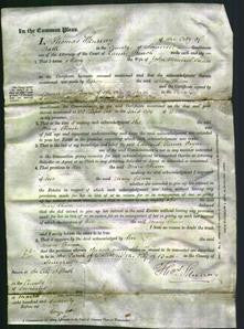 Court of Common Pleas - Mary Shum-Original Ancestry