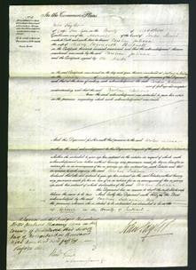 Court of Common Pleas - Caroline Juliana Bicknell-Original Ancestry