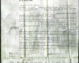 Court of Common Pleas - Ann Roberts-Original Ancestry