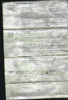 Court of Common Pleas - Matilda Newman-Original Ancestry