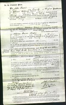 Court of Common Pleas - Mary Webb-Original Ancestry