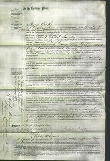 Court of Common Pleas - Emma Langley-Original Ancestry