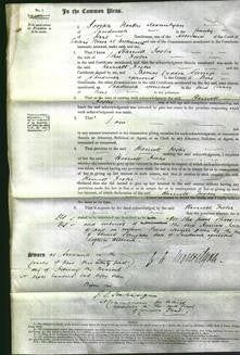 Court of Common Pleas - Harriett Foster-Original Ancestry