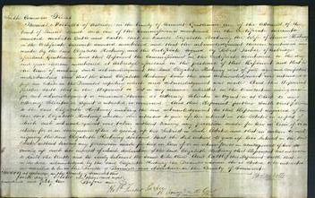 Court of Common Pleas - Elizabeth Hookway-Original Ancestry